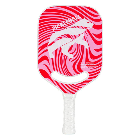 HOOWAN Pickleball Paddle Set T700